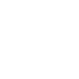 ce logo Madison